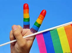Image result for homosexualidad