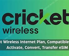 Image result for Cricket Internet Connection