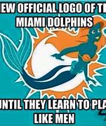 Image result for Dolphins Football Meme