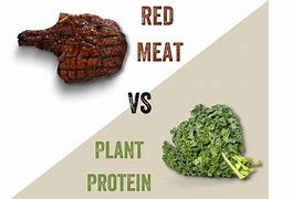 Image result for Plant vs Meat Protein