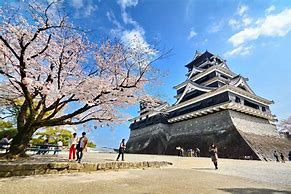 Image result for Fukuoka Castle