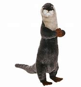 Image result for White Otter Plush