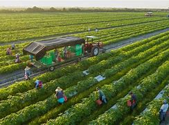 Image result for Organic Food Farm