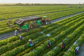 Image result for Ecological Agriculture