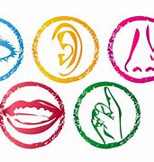 Image result for Five Senses ClipArt