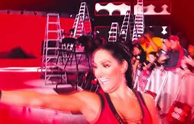 Image result for WWE Nikki Bella Stay Fearless