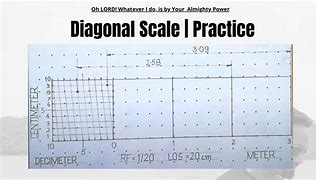 Image result for EGD Types of Scales