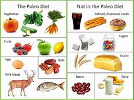 Image result for Paleo Caveman Diet Food List