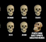 Image result for Skeleton Head Meme