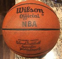 Image result for Wilson NBA Basketball