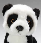 Image result for Pic of Panda Bear Sitting