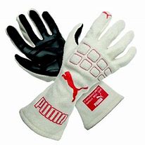 Image result for Puma Racing Gloves