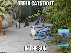 Image result for Greece Cat Meme