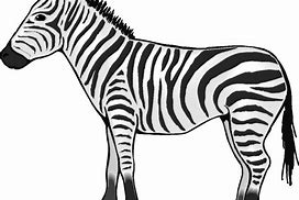 Image result for Animal Pictures Clip Art Black and White