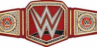 Image result for WWE Belt Case