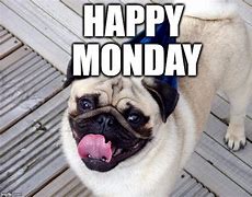 Image result for Happy Pug Monday