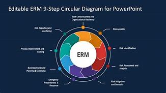 Image result for ISO ERM Process Flow