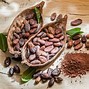 Image result for Organic Raw Cacao