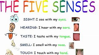 Image result for Senses Rhymes
