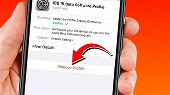 Image result for How to Remove Developer Beta From iPhone