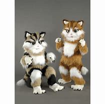 Image result for Kittens Mascot