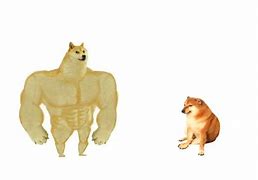 Image result for Doge Original Meme Template