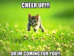 Image result for Cheer Me Up Meme