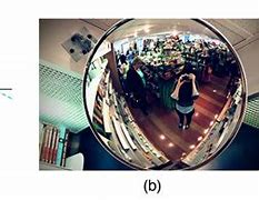 Image result for Curved Mirrors Physics