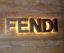 Image result for Fendi Icone