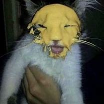 Image result for Cursed Cat Art