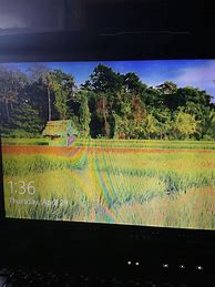 Image result for Computer Screen Color Problem