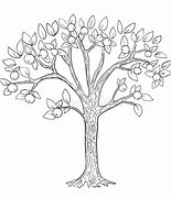 Image result for Apple Tree Drawing Black and White