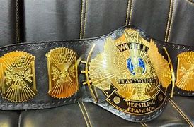 Image result for Custom Wrestling Belts