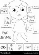 Image result for 5 Senses Visual