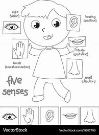 Image result for Coloring Senses