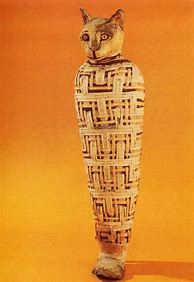 Image result for Egyptian Mummy Cat