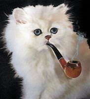 Image result for Cat Smoking a Pipe