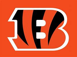 Image result for Cincinnati Bengals B Logo