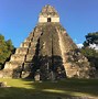 Image result for Guatemala Jungle