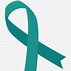 Image result for Cervical Cancer Awareness Ribbon