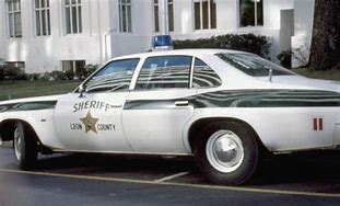 Image result for Florida Memory Police