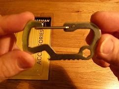 Image result for Stainless Steel Carabiner Clip