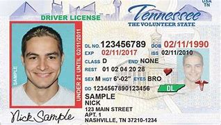 Image result for Oklahoma License