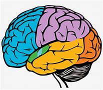 Image result for Colorful Brain Drawing
