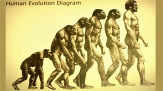 Image result for evolutionism