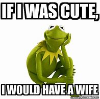 Image result for Kermit 3rd Wife Meme