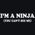 Image result for I'm a Ninja Meme