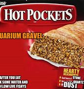 Image result for Aquarium Gravel Meme