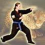 Image result for Five Animal Kung Fu Shaolin