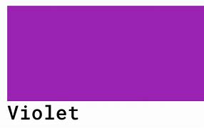 Image result for Violet Hex Color
